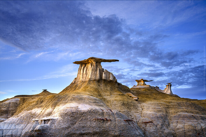 The Wings at Bisti Badlands, New Mexico